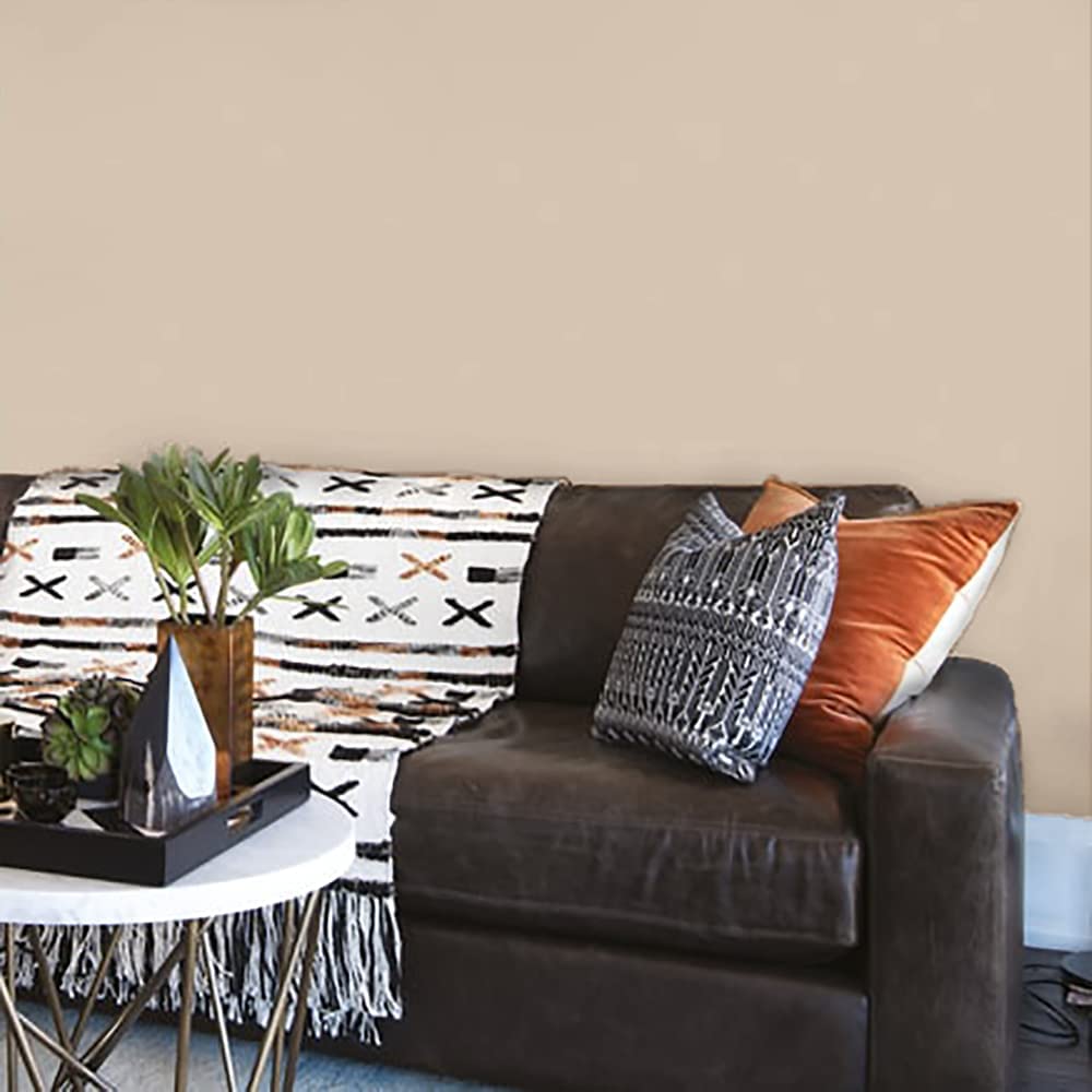 Seashell Neutral Paint Colour Johnstone's