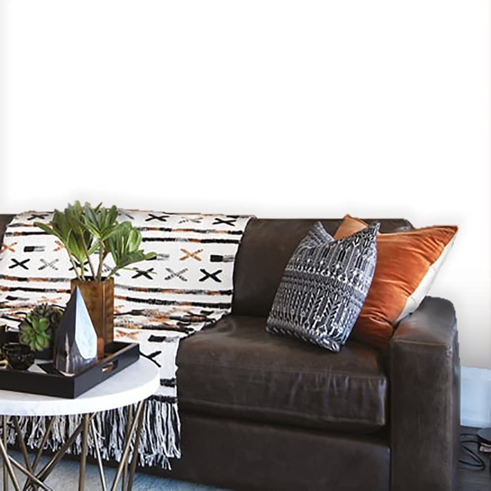 White White Paint Colour Johnstone's